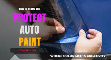Revitalize and Shield Your Car's Paint: Expert Renewal and Protection Tips