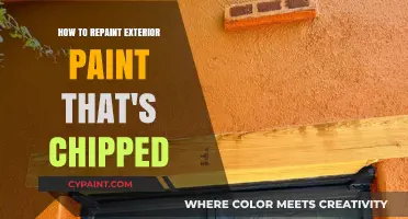 Revive Your Home: A Guide to Repainting Chipped Exterior Paint