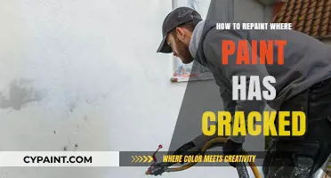 Fixing Cracked Paint: A Step-by-Step Guide to Repainting Walls