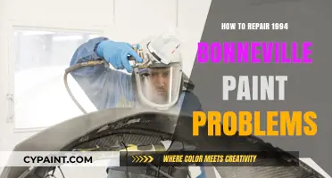 Revive Your 1994 Bonneville: Expert Tips to Fix Paint Issues