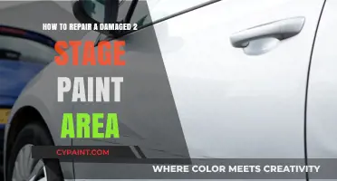 Repairing Two-Stage Paint: Fixing Damage