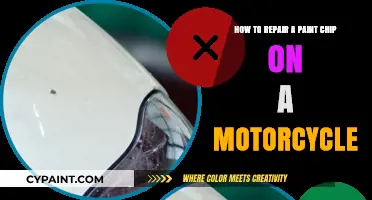 Repairing Motorcycle Paint Chips: Quick and Easy Guide