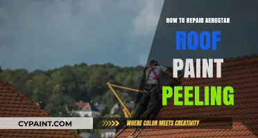Fixing Aerostar Roof Paint Peeling: A Step-by-Step Repair Guide