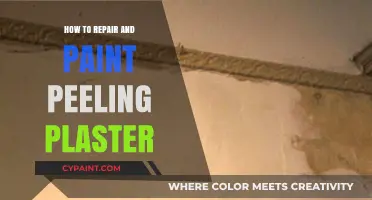 Fix and Refresh: Repairing and Painting Peeling Plaster Walls