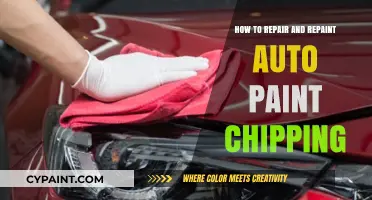 Fix and Refresh: Repairing and Repainting Auto Paint Chipping