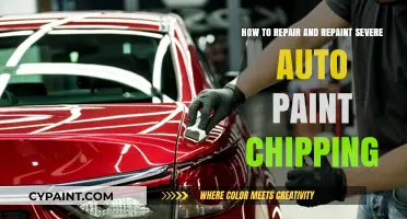 Repair and Repaint: Fixing Severe Auto Paint Chipping