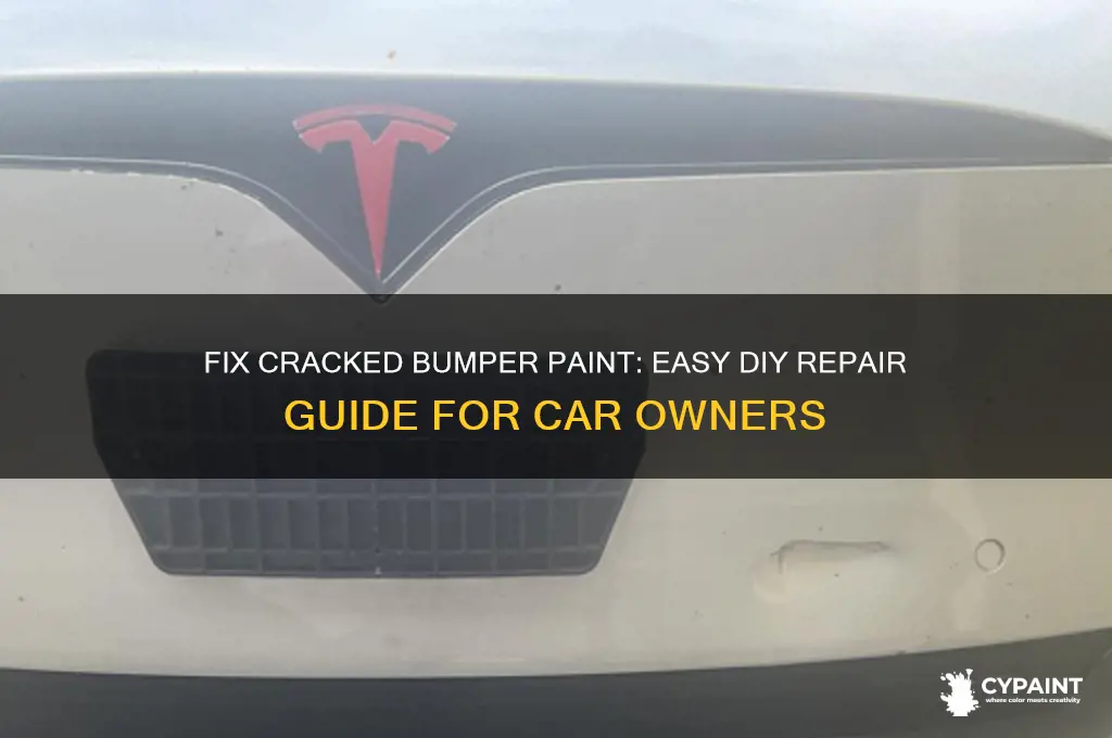 how to repair cracked paint on bumper