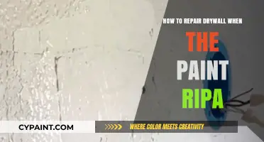 Fixing Drywall: Repairing Paint Rips and Restoring Walls Easily
