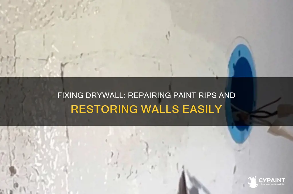 Fixing Drywall: Repairing Paint Rips And Restoring Walls Easily | CyPaint