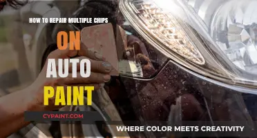 Fixing Multiple Auto Paint Chips: A Step-by-Step Repair Guide