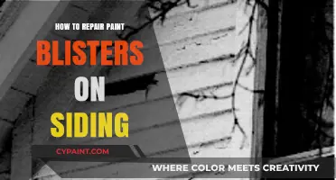 Fixing Paint Blisters on Siding: A Step-by-Step Repair Guide