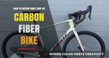 Repairing Paint Chips: Carbon Fiber Bike Makeover