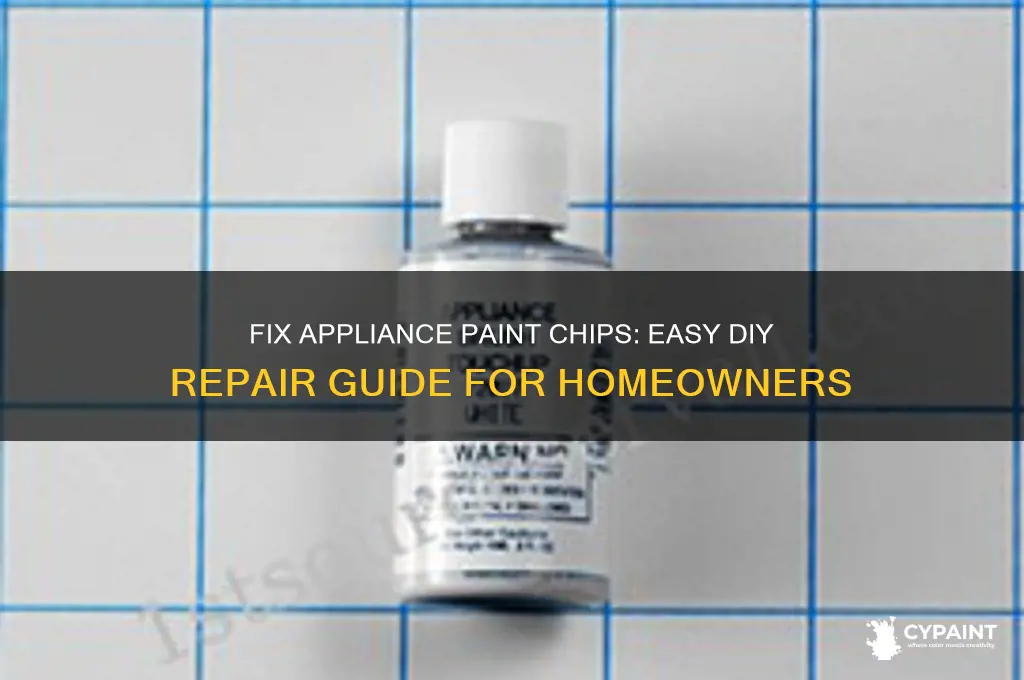 how to repair paint chips on appliances