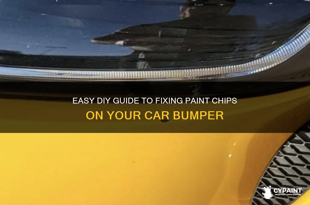 how to repair paint chips on bumper