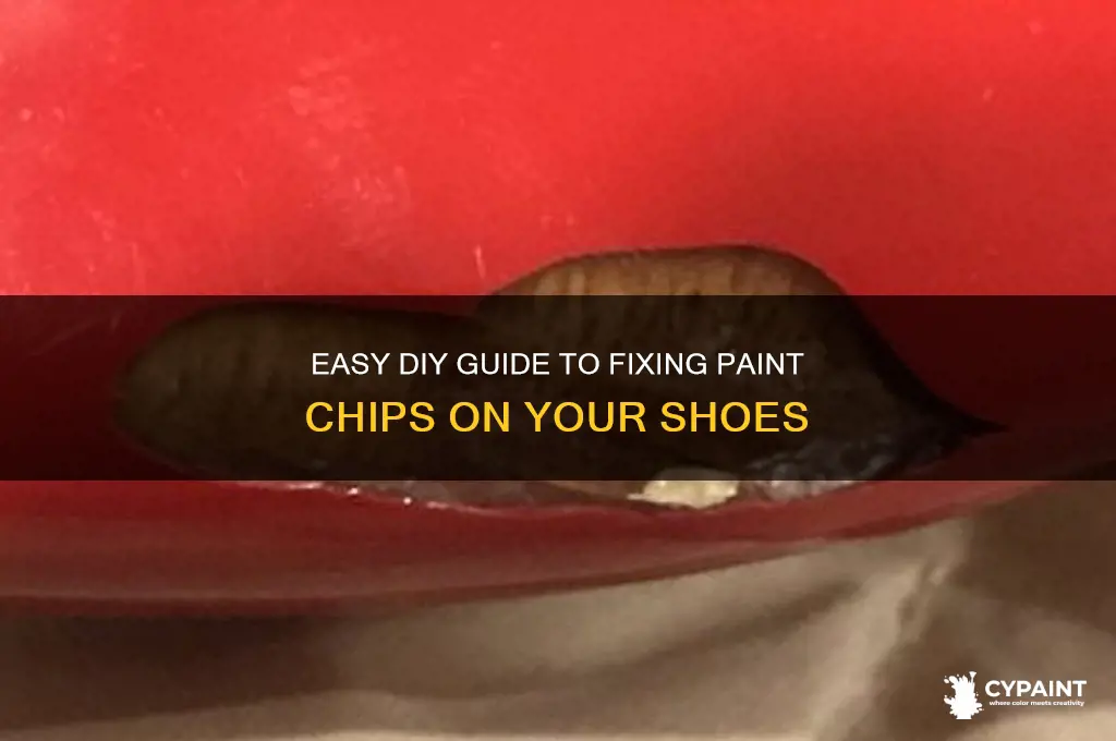 how to repair paint chips on sho