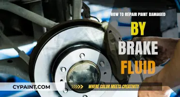 Fix Brake Fluid Paint Damage: Step-by-Step Repair Guide