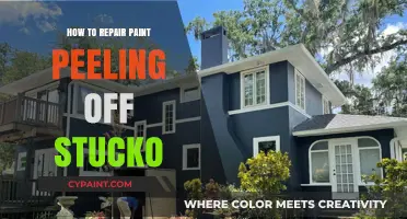 Fixing Peeling Paint on Stucco: A Step-by-Step Repair Guide