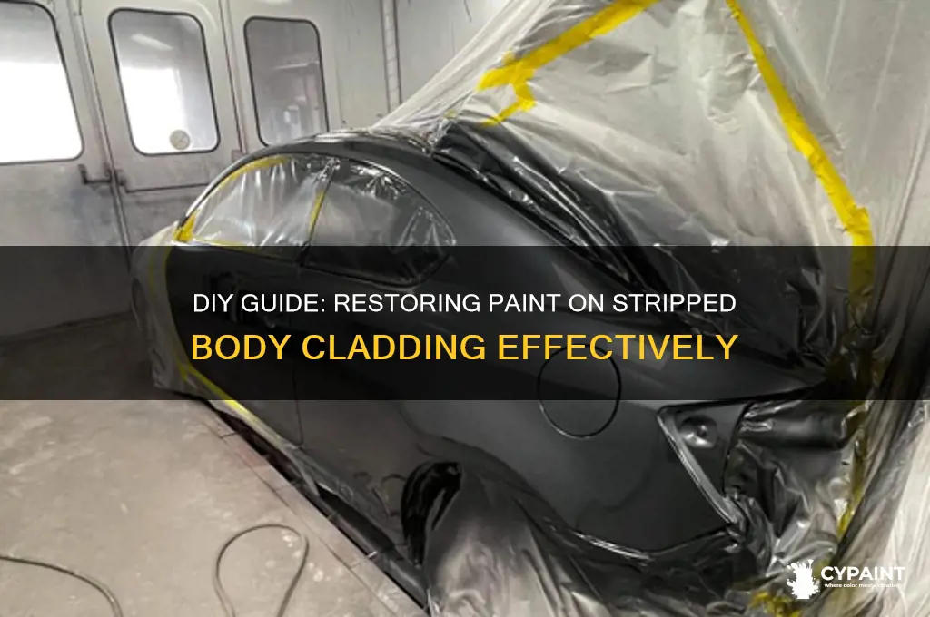 how to repair paint stripped from body cladding