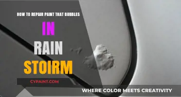 Repairing Bubbled Paint After a Storm