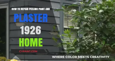 Repairing 1926 Home: Fixing Peeling Paint and Plaster