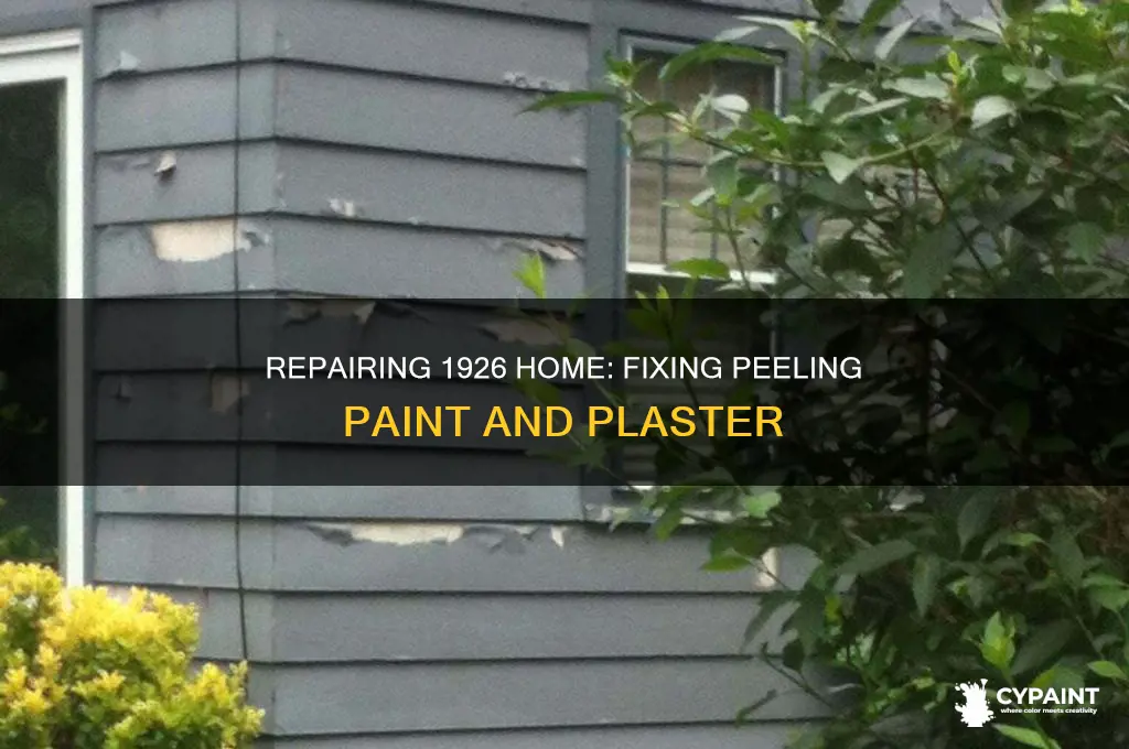how to repair peeling paint and plaster 1926 home
