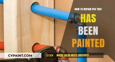 Repairing Painted PEX Pipes: A Step-by-Step DIY Guide
