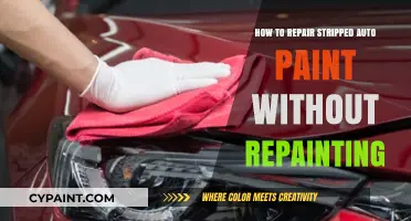 Restore Your Car's Shine: Repairing Stripped Auto Paint Without Repainting