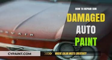 Revive Your Car's Shine: Repairing Sun-Damaged Auto Paint Effectively