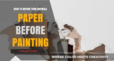 Repair Torn Drywall Paper: A Step-by-Step Guide for Flawless Painting