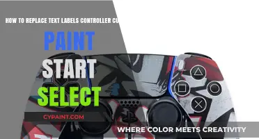 Custom Paint Start Select: Replacing Text Labels in Controller Design