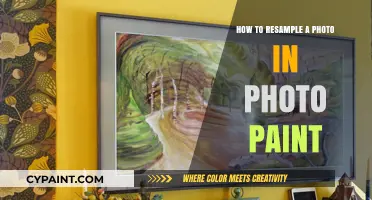 Resampling Photos in Photo Paint: A Step-by-Step Guide for Beginners