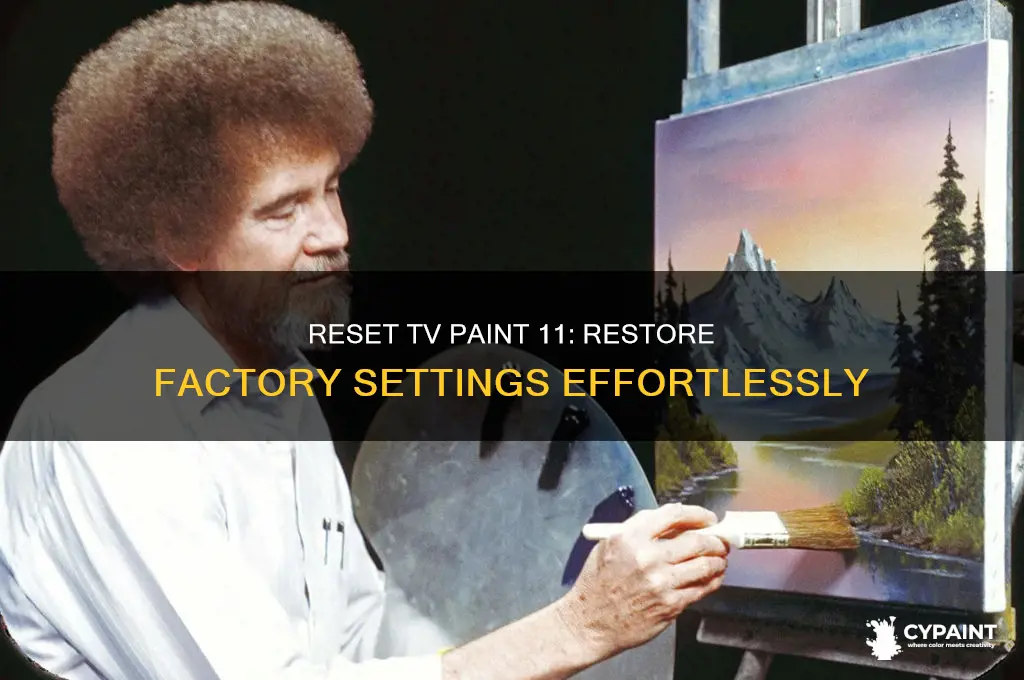how to resent tv paint 11 to original factory settings