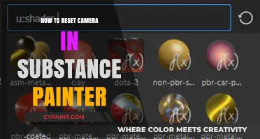 Mastering Substance Painter: Quick Guide to Resetting Your Camera