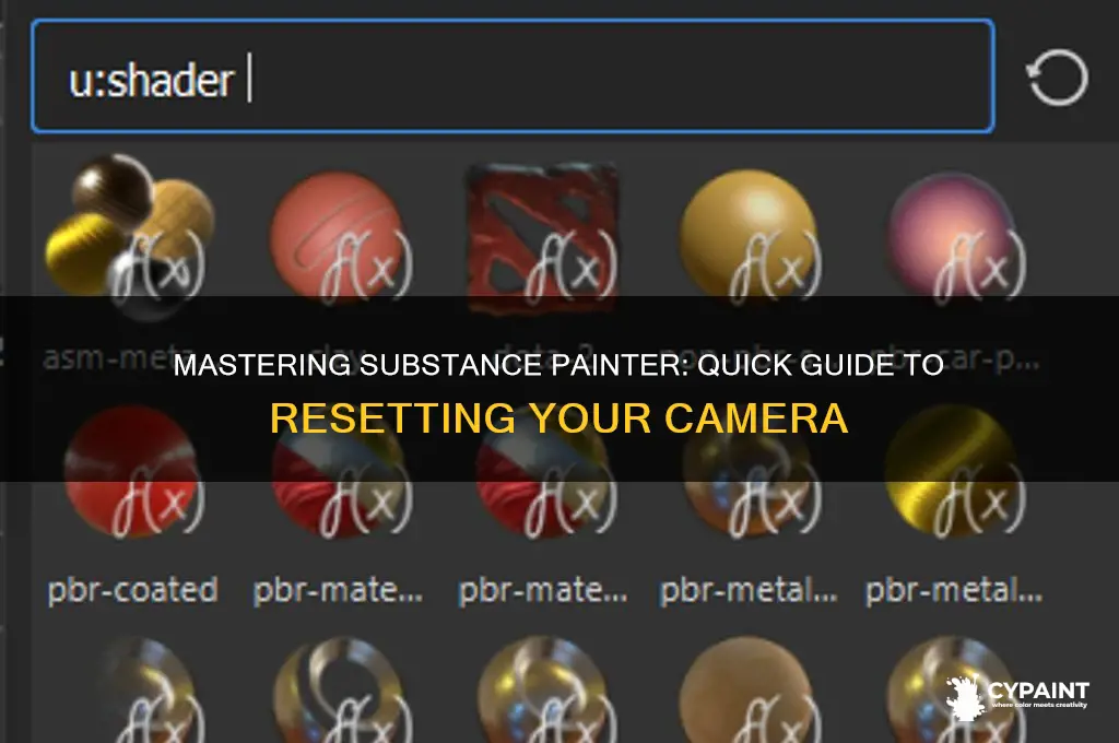 how to reset camera in substance painter