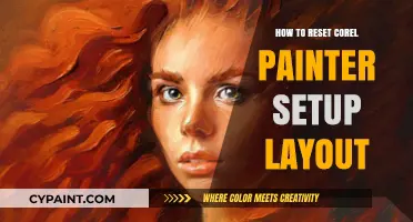 Resetting Corel Painter Setup Layout: A Quick and Easy Guide