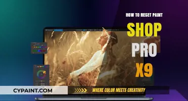 Resetting PaintShop Pro X9: A Step-by-Step Guide to Fresh Start