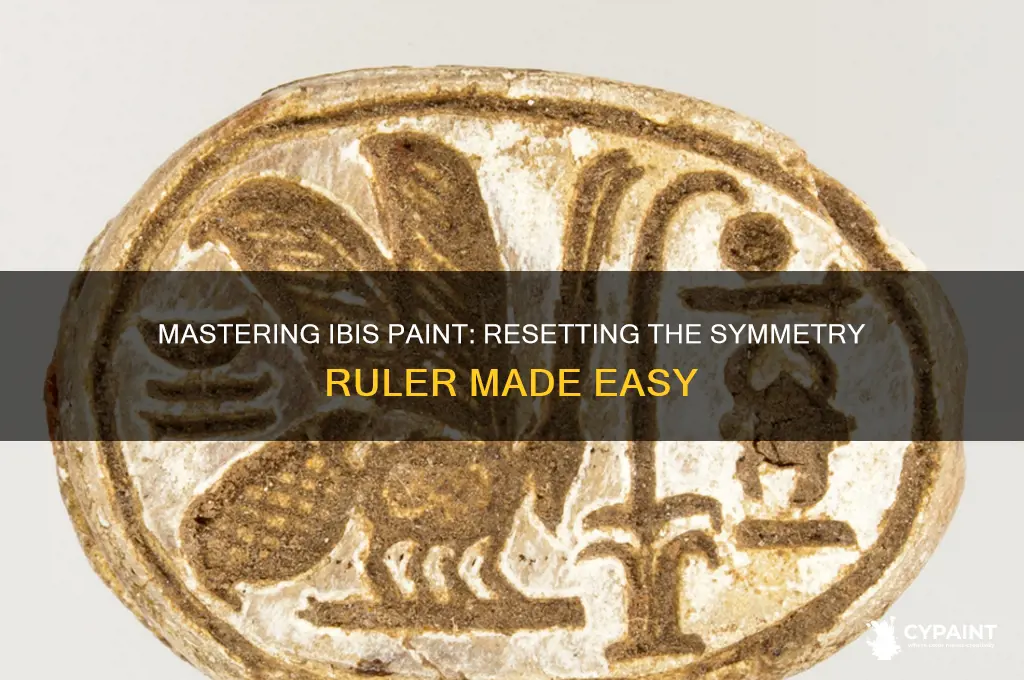 how to reset symmetry ruler in ibis paint