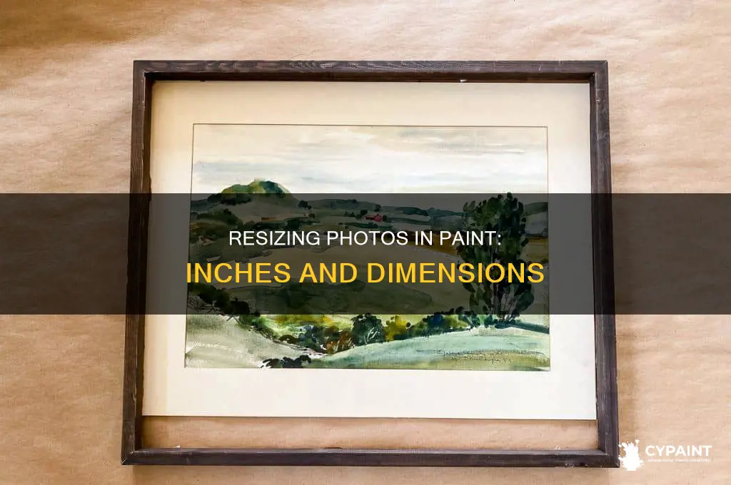 how to resize a photo in paint in inches