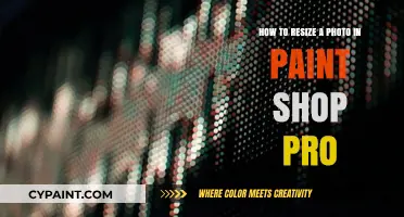 Resizing Photos: Paint Shop Pro's Easy Steps