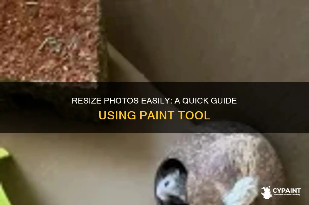 how to resize a photo to a certain size paint