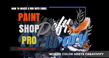 Resize PNG Images Easily with Corel Paint Shop Pro Tutorial