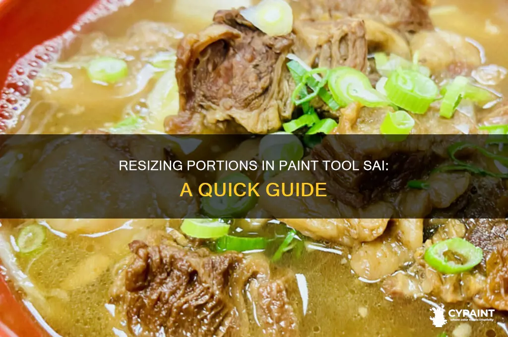 how to resize a portion in paint tool sai
