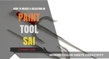 Resizing Selections in Paint Tool Sai: A Simple Guide