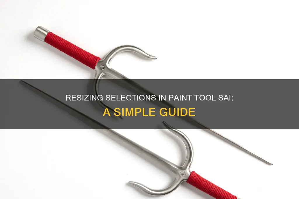 how to resize a selection in paint tool sai