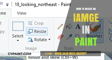 Quick Guide: Resizing Images in Paint for Perfect Dimensions
