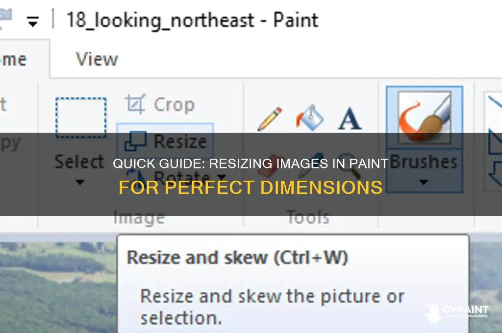 how to resize an iamge in paint