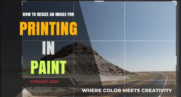 Resizing Images for Printing: A Guide to Using MS Paint