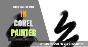 Master Resizing Images in Corel Painter: A Quick & Easy Guide