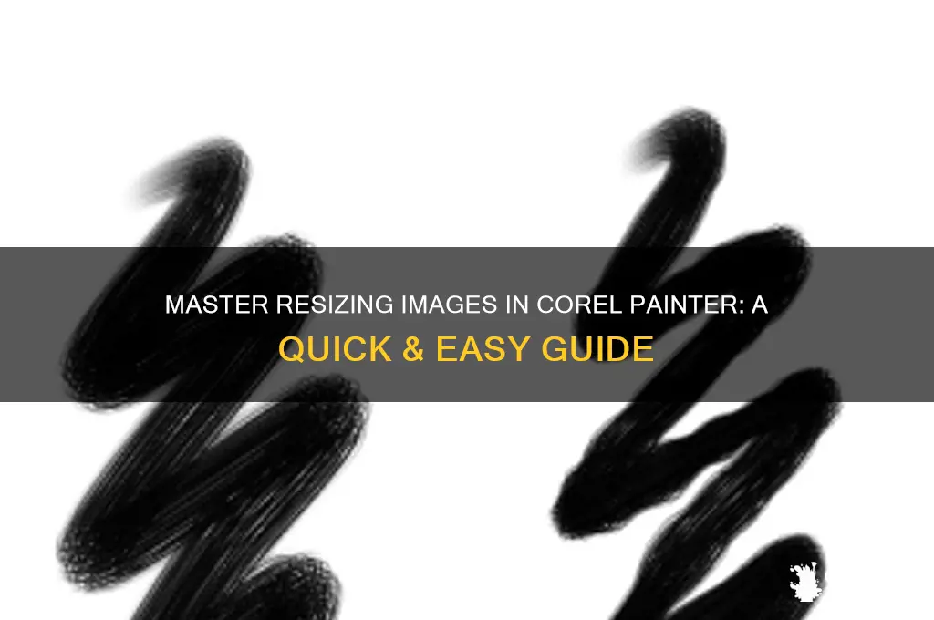 how to resize an image in corel painter