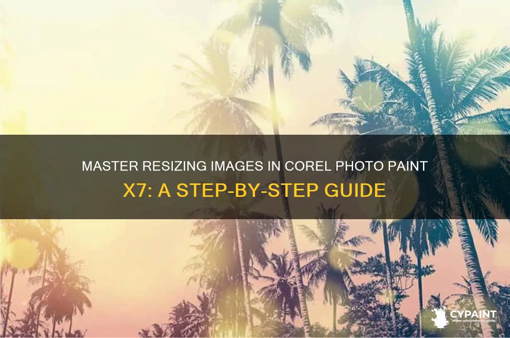 how to resize an image in corel photo paint x7